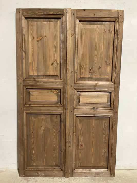 French Panel doors (80x48.5) L999