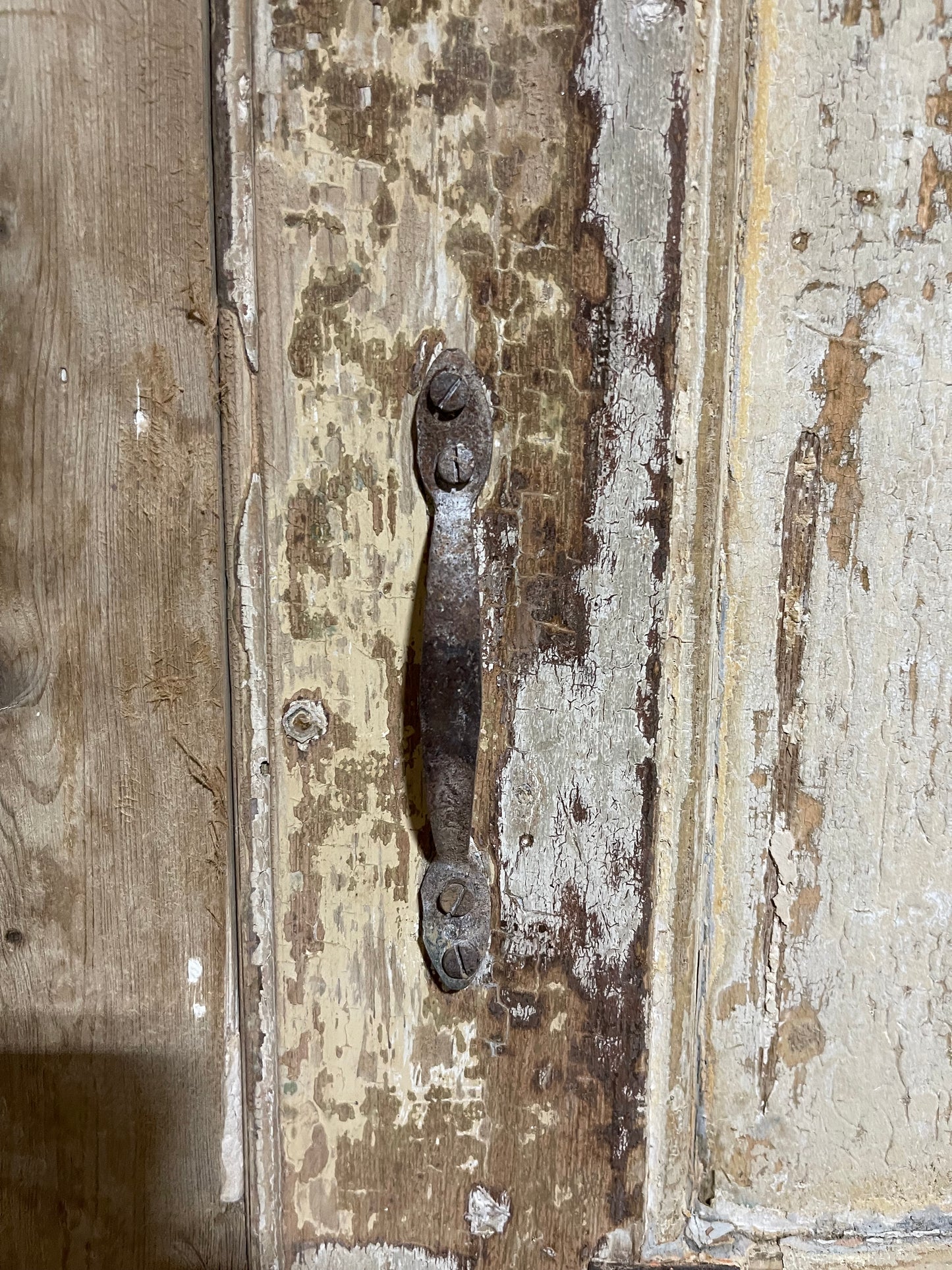 Antique  French Panel Door with Carving  (114.5x58.5) L009