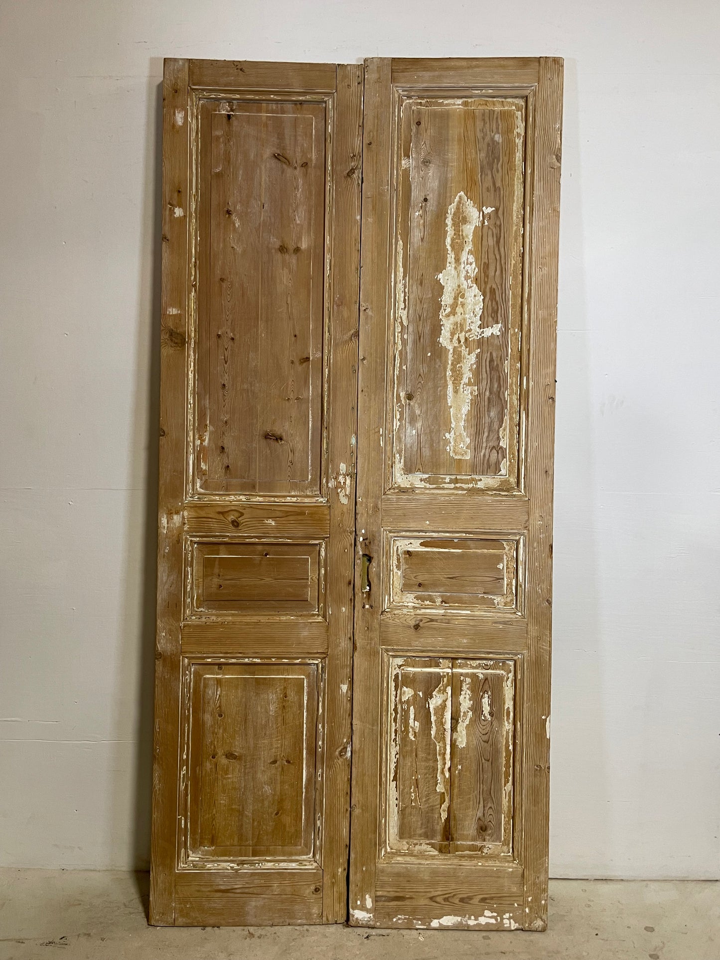 Antique French panel Doors (97.25x44.5) L264