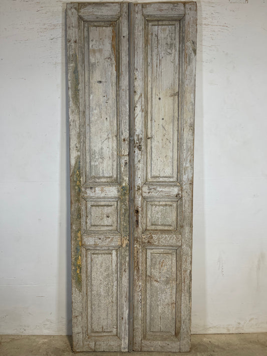 Antique French panel Doors (94x33.25) K635