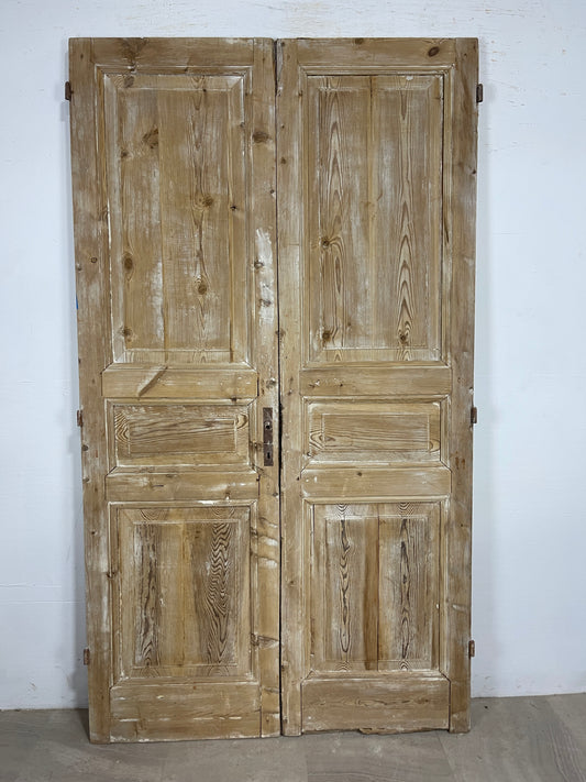 Antique French panel Doors (90x51) O190