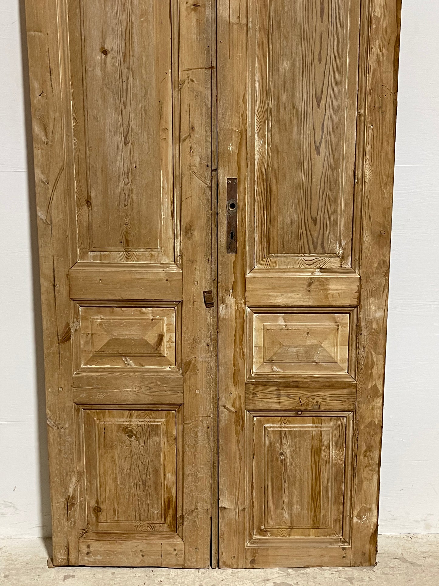 Antique French panel Doors (94.25x39.75) J618