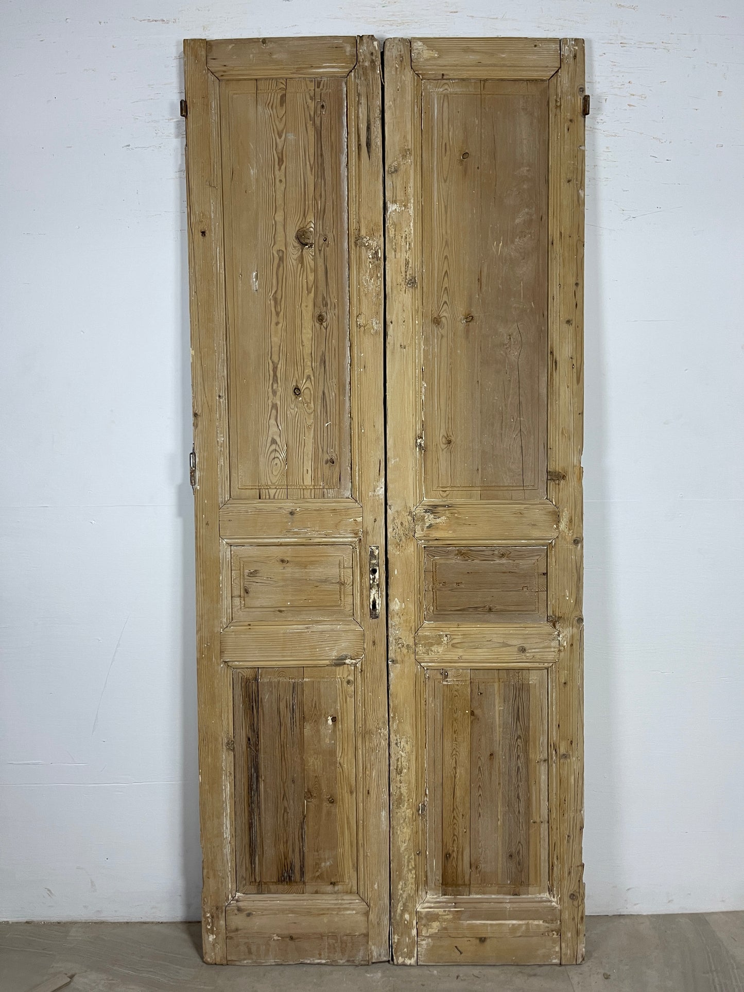 Antique French panel Doors (95 x 40) O176