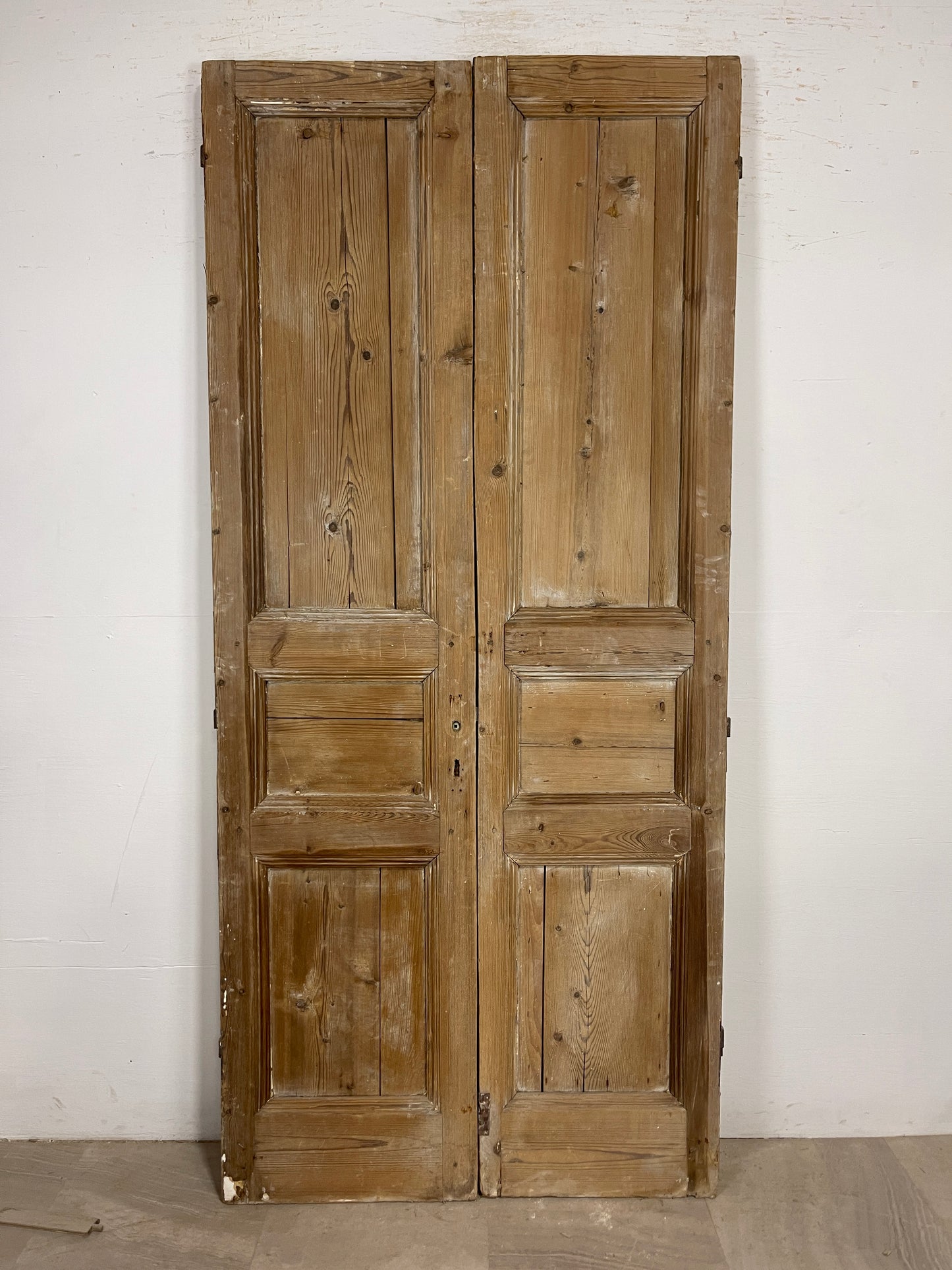 Antique French panel Doors (91x41) O187