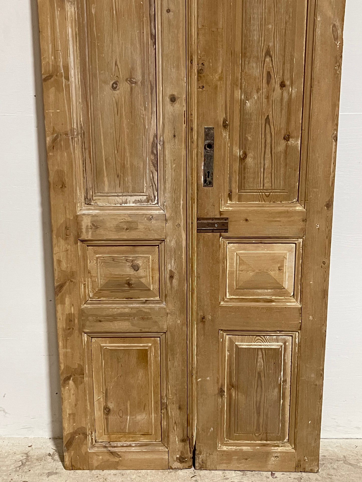 Antique French panel Doors (94.25x39.25) J613