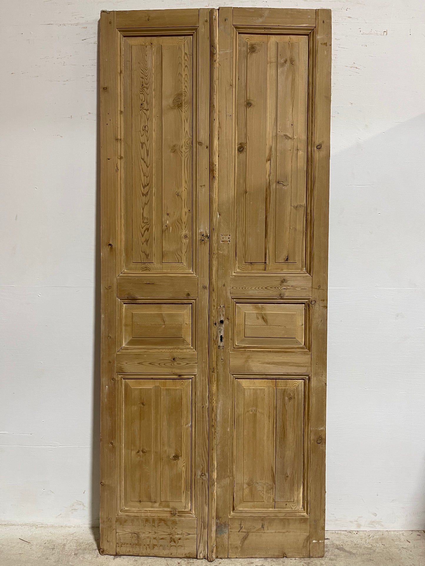 Antique French panel Doors (97.25x40.75) J623