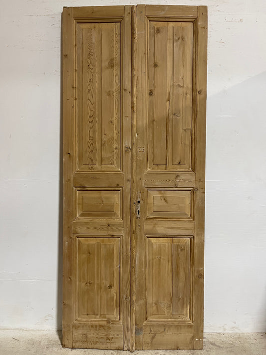 Antique French panel Doors (97.25x40.75) J623