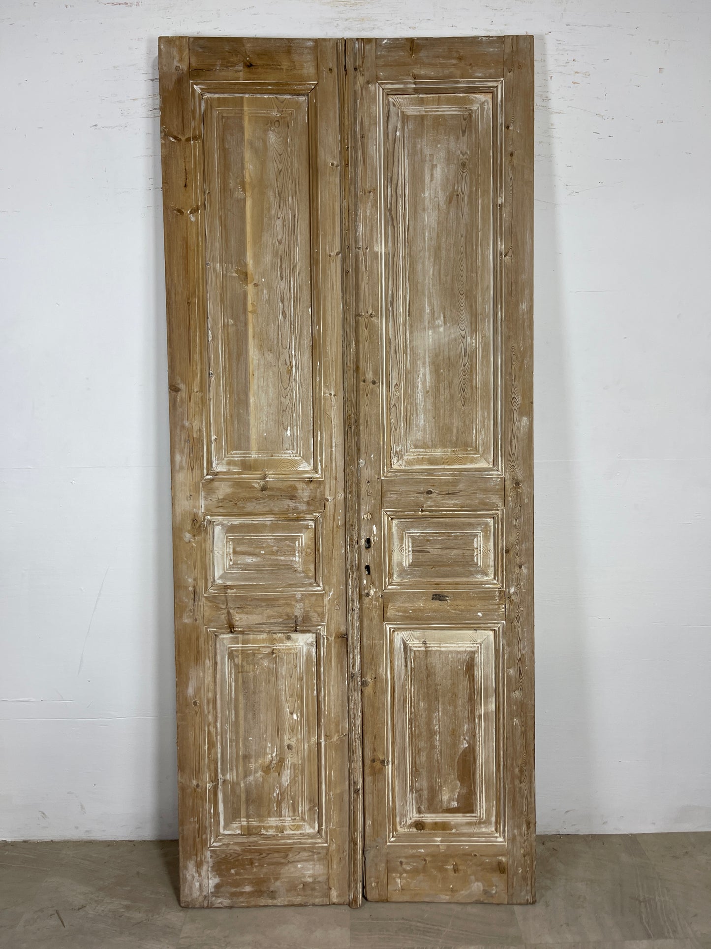 Antique French panel Doors (93 x 39) O147