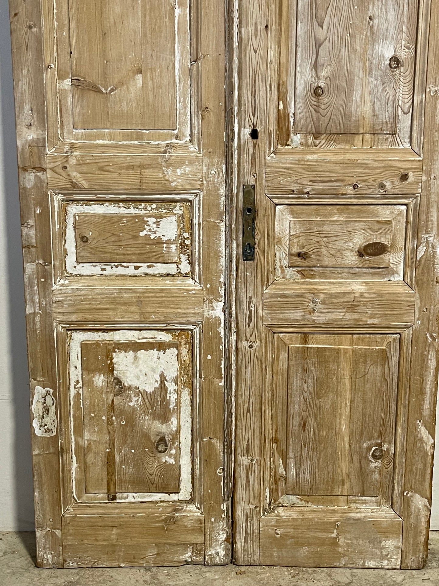 Antique French panel Doors (100.5x43) L299