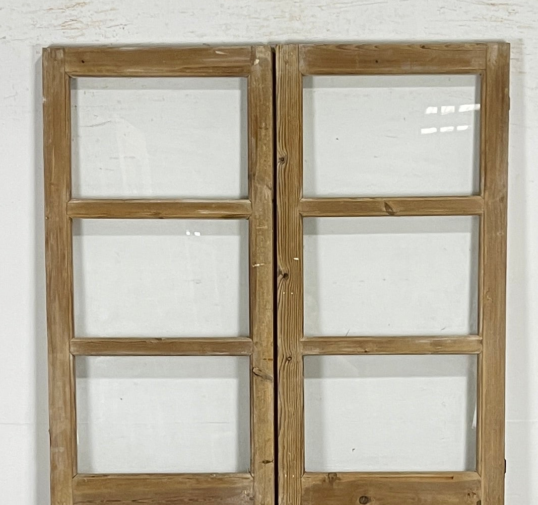 Antique French panel doors with Glass (84x44.5) P157