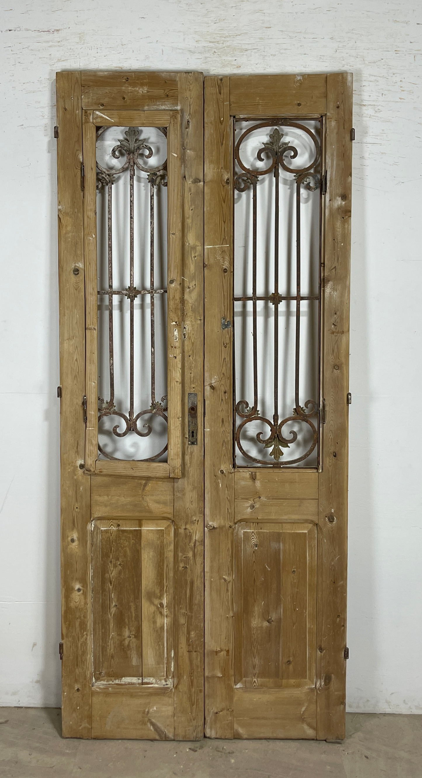 Antique French panel doors with Metal (92x40) P95