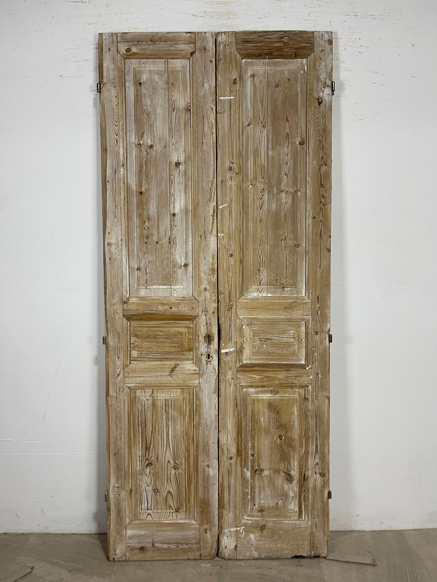 Antique French panel Doors (91.5 x 39.5) O171
