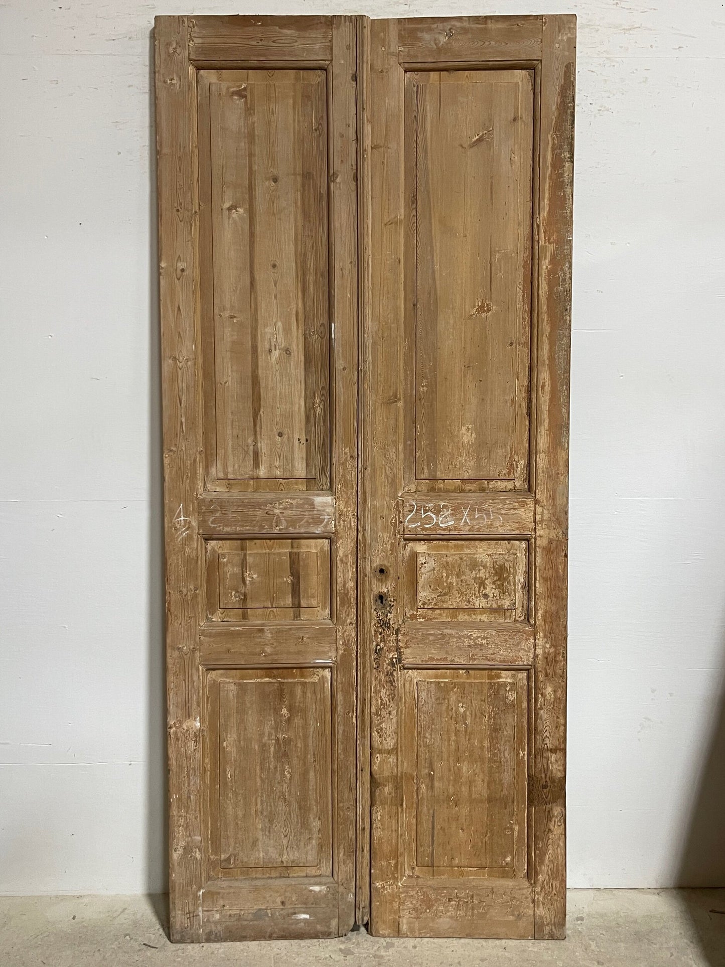 Antique French panel doors (99.5x44) I141