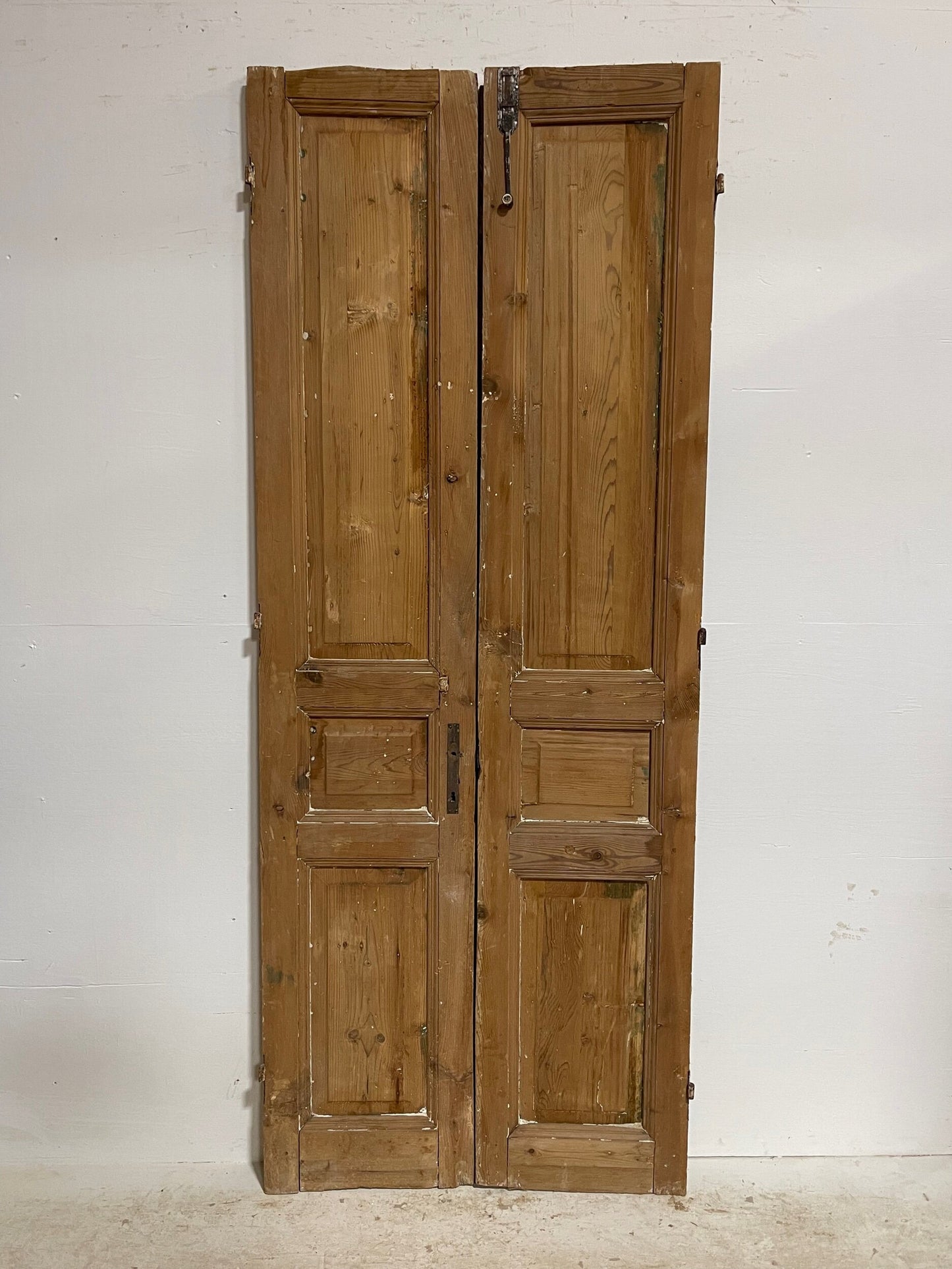 Antique French panel doors (91x35.5) H0064s