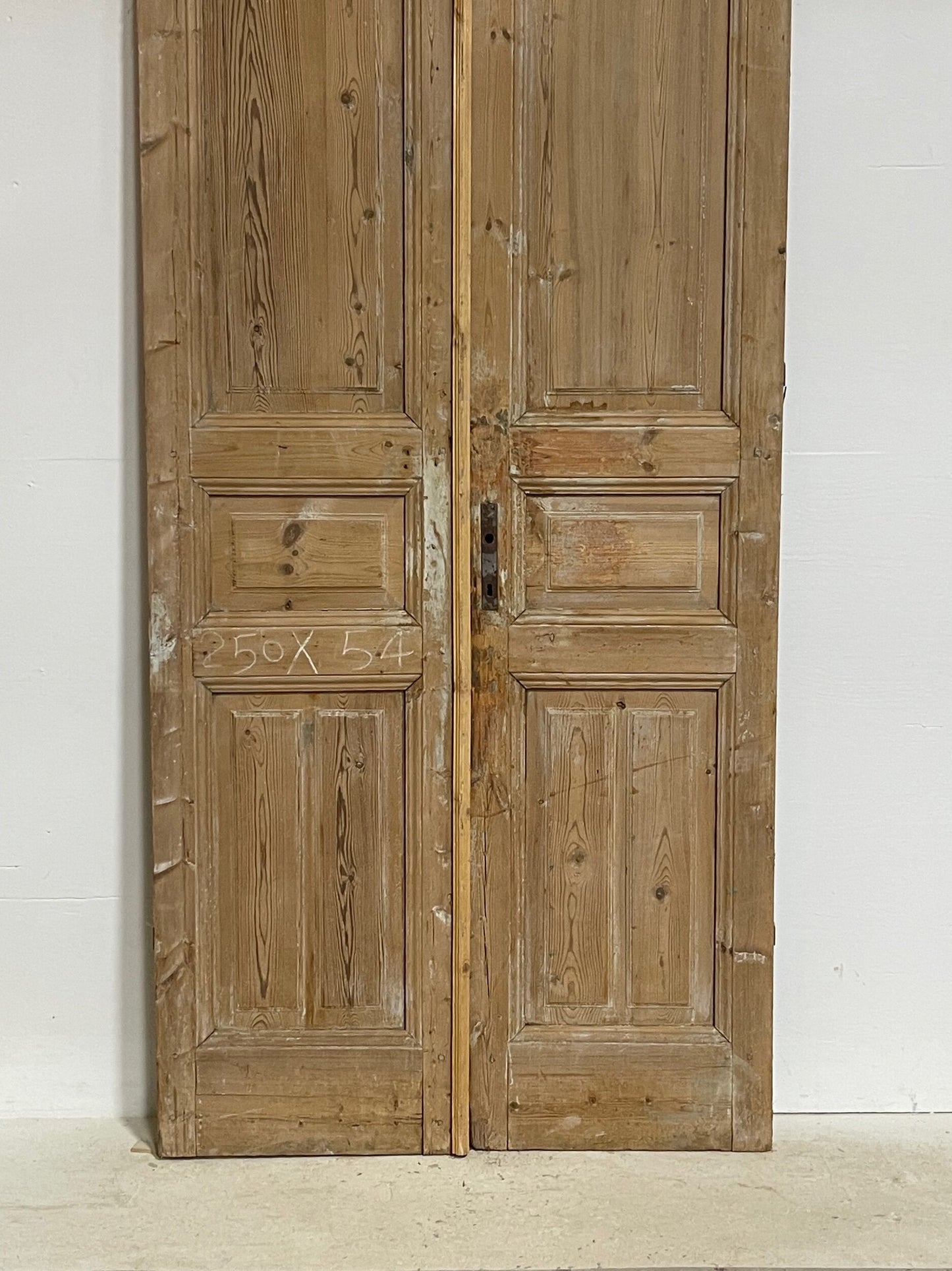 Antique French panel doors (98.5 x 42.75)  G0197s