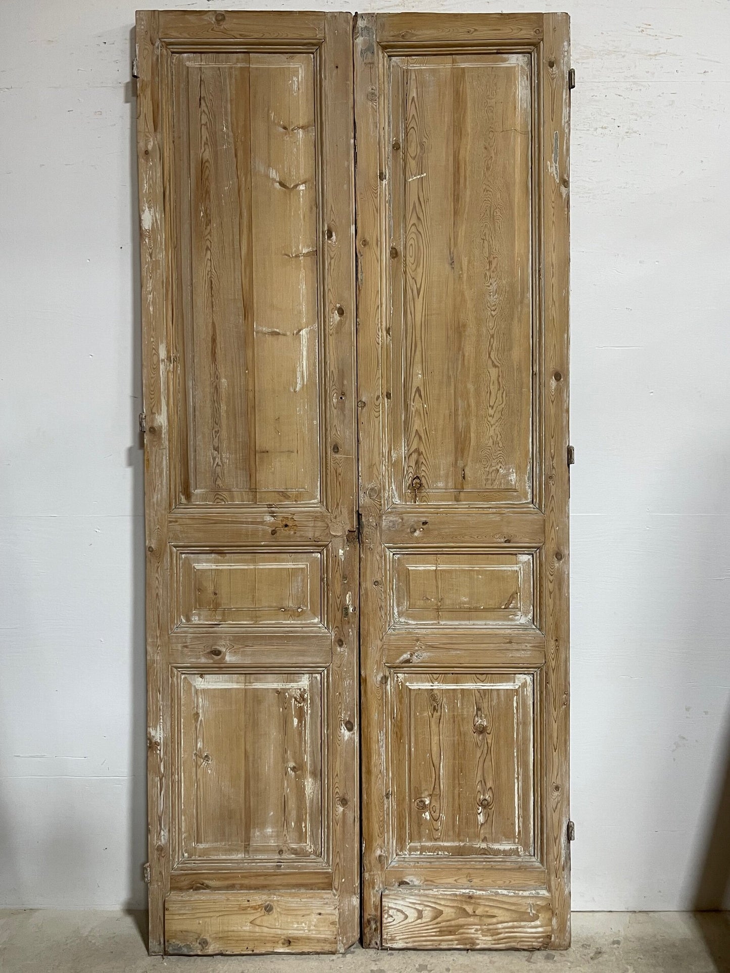 Antique French panel doors (103x46.75) I179b