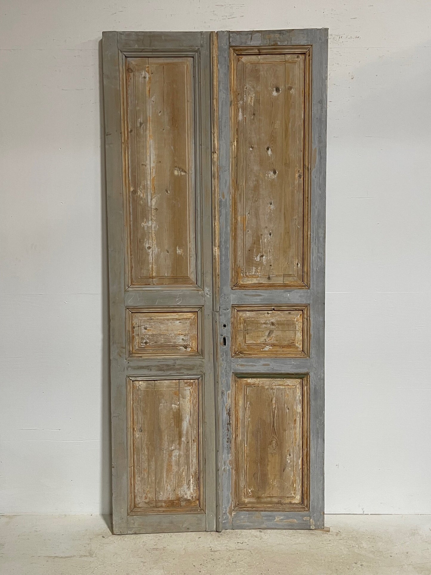 Antique French panel doors (98.5 x 43) G0115s
