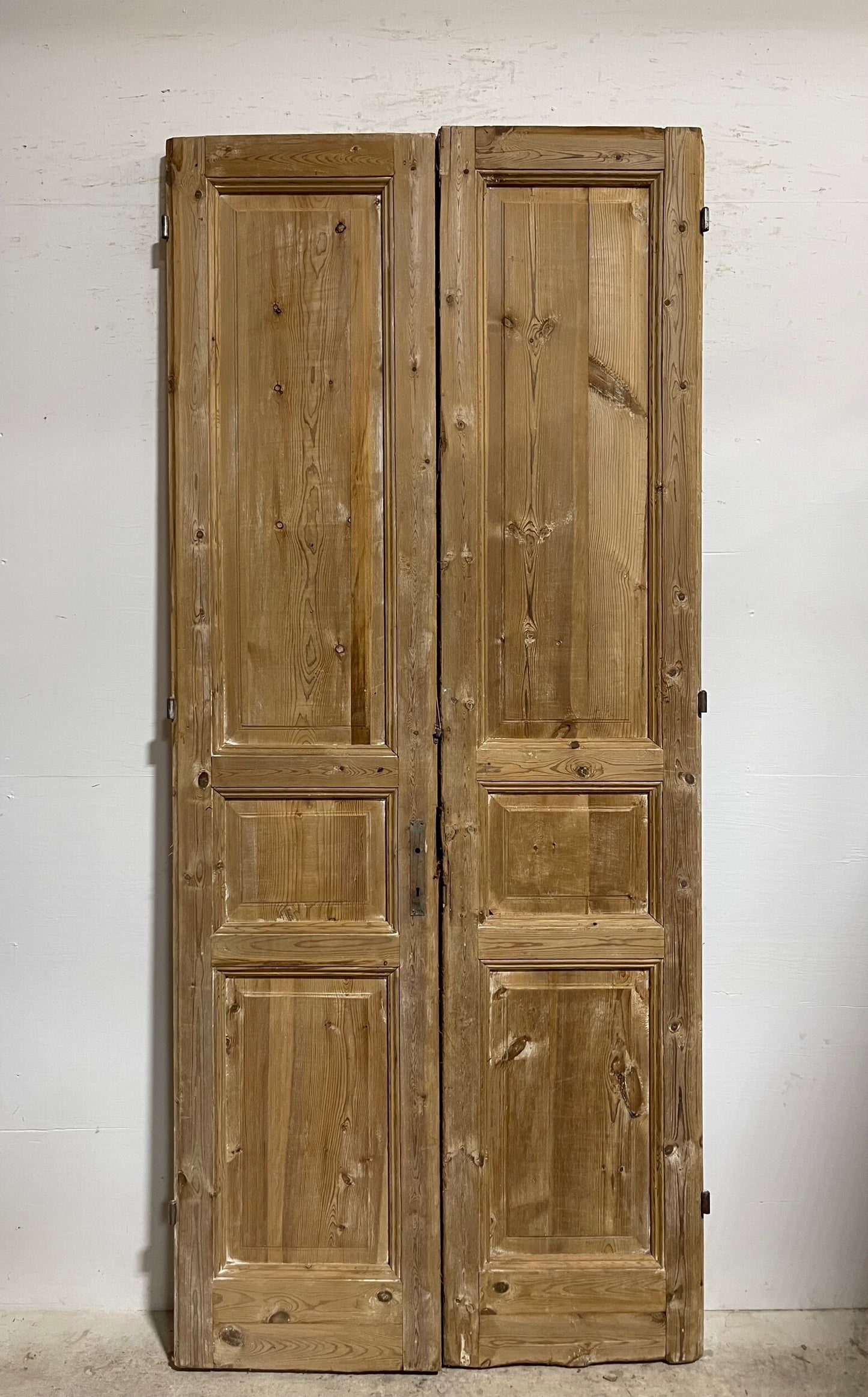 Antique french panel doors (101.5 x 43.75) I058