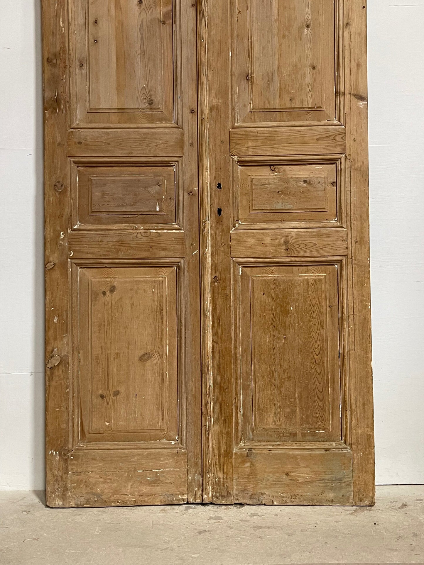 Antique French panel doors (97.25x43) I179a
