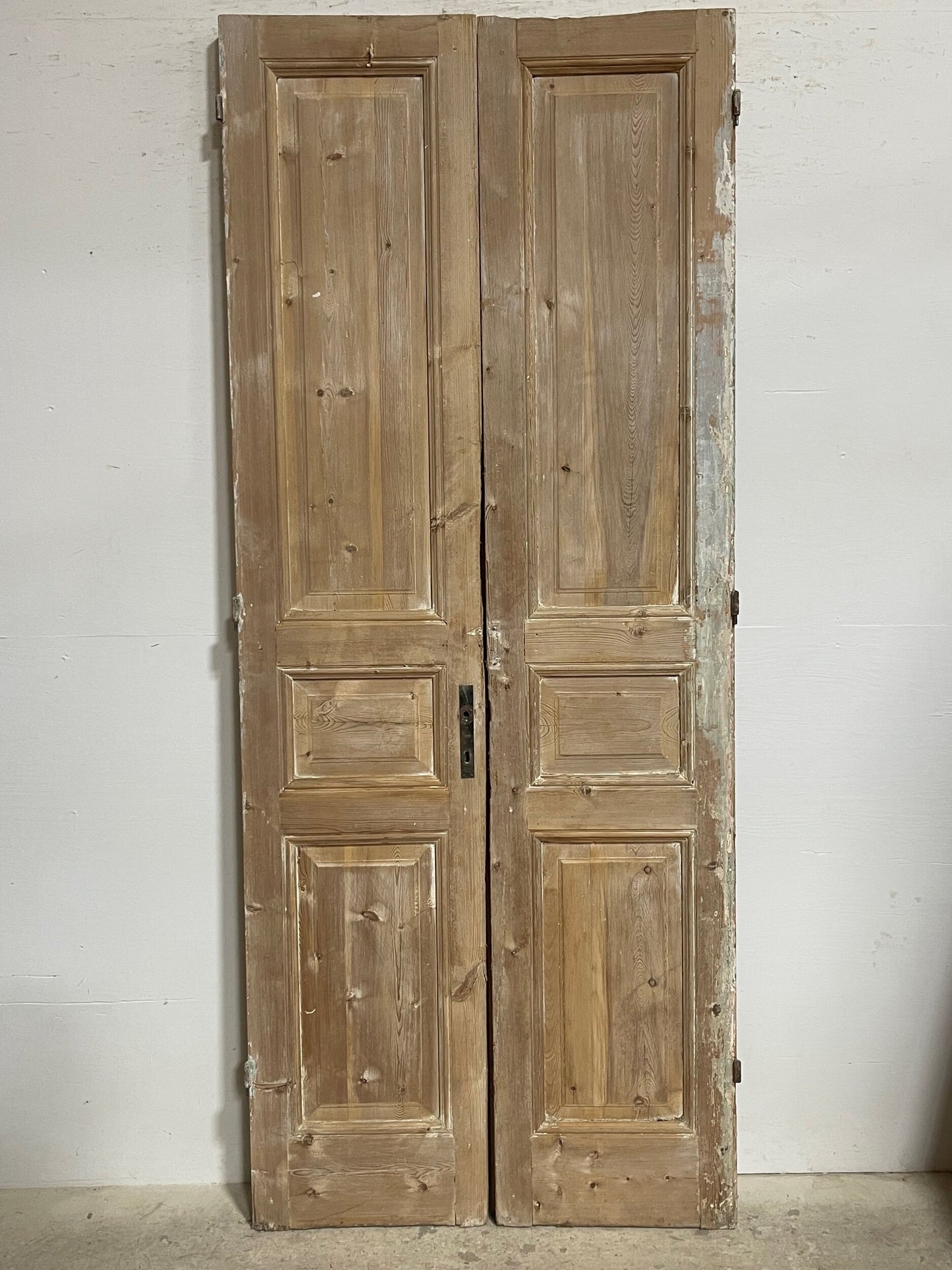 Antique French panel doors (95x39) I134