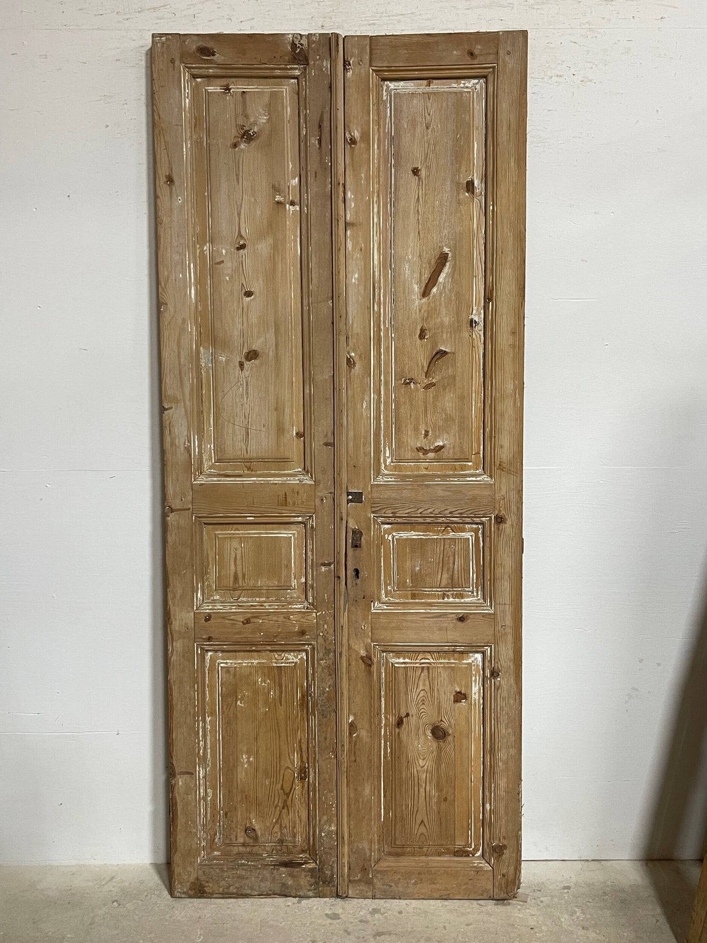 Antique French panel doors (95x39.75) I177