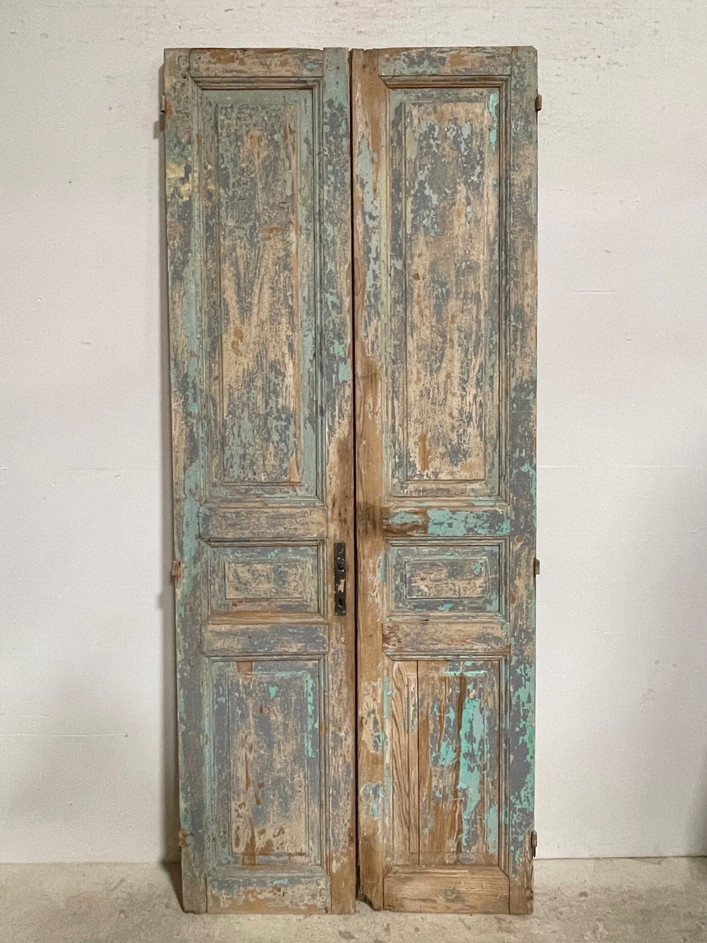 Antique French panel doors (91.25 x 38) I092
