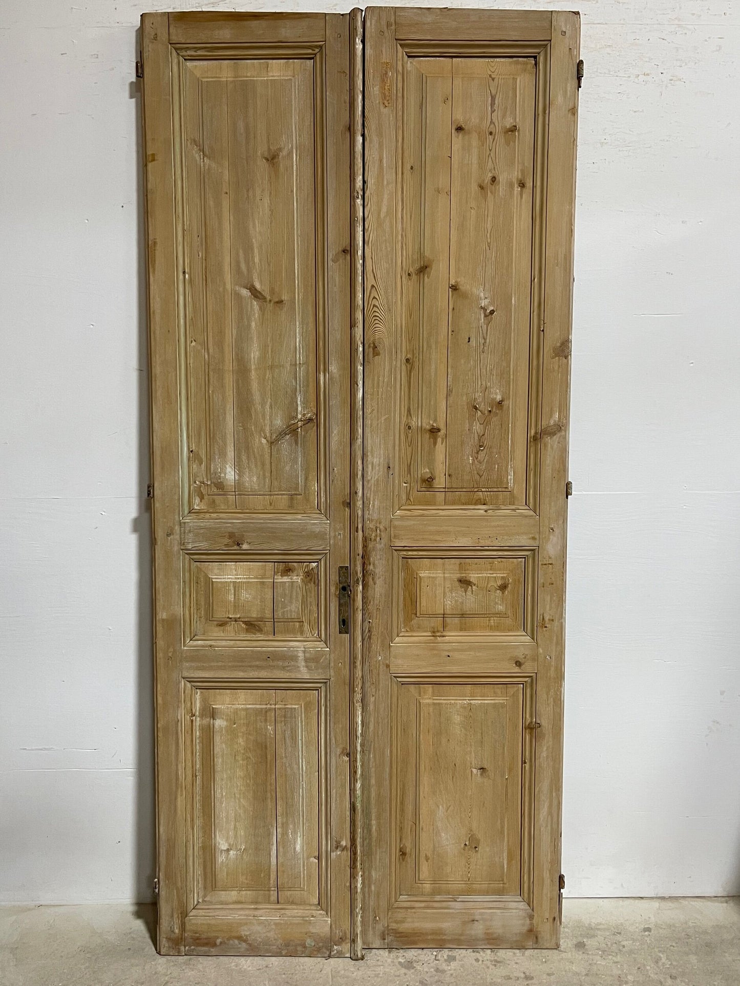 Antique French panel doors (96.5x43.5) I147