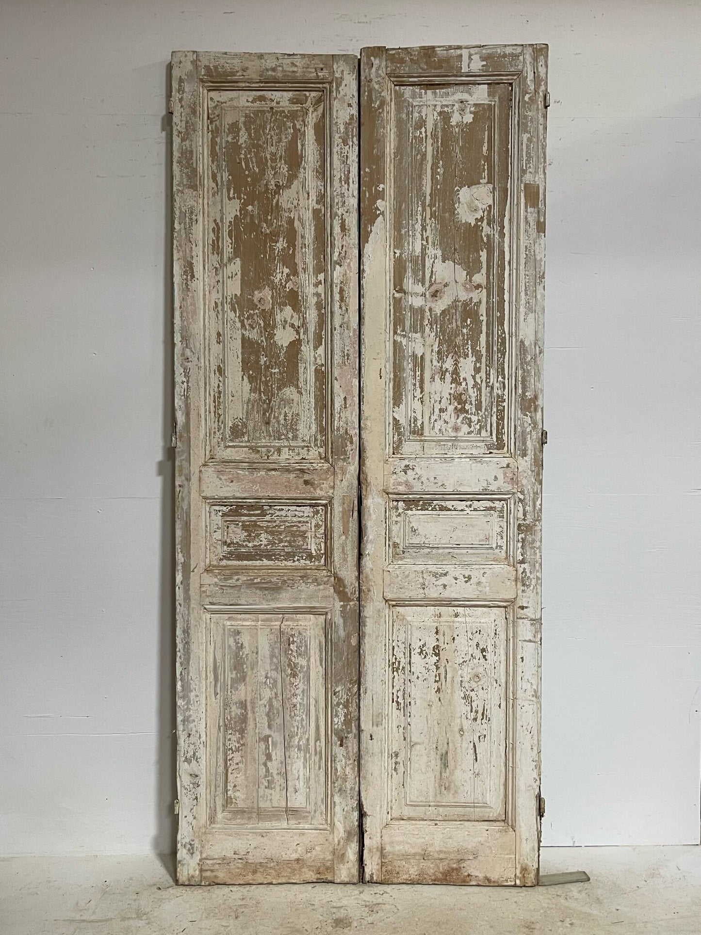 Antique French doors (103X45.75) G0097