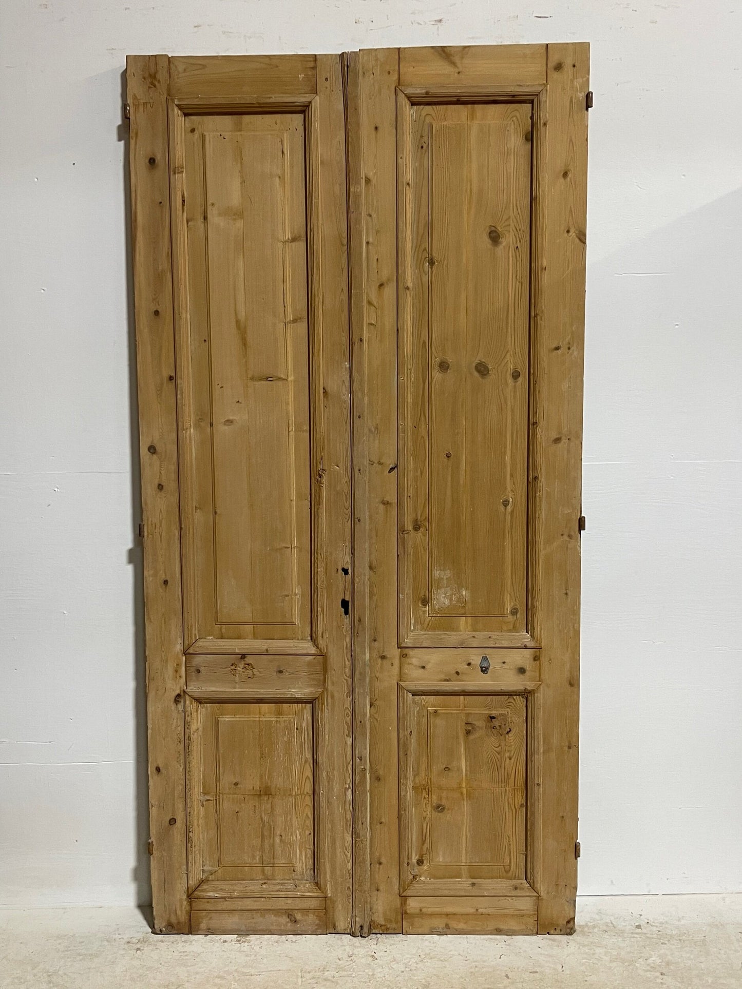 Antique French panel doors (88x44) H0049s