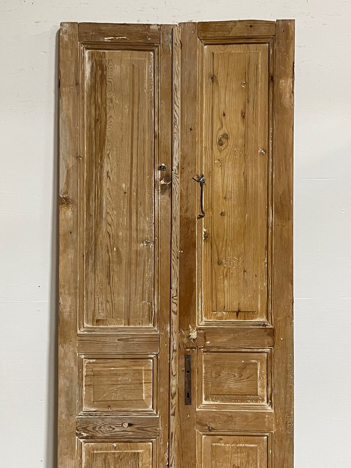 Antique French panel doors (91x35.5) H0064s