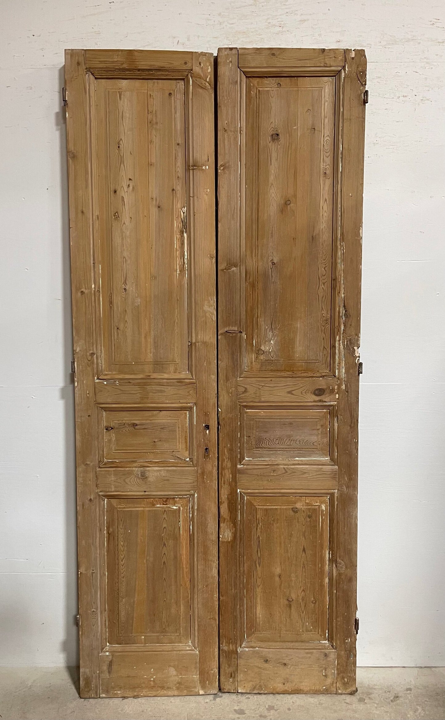 Antique French panel doors (97.25x43) I179a