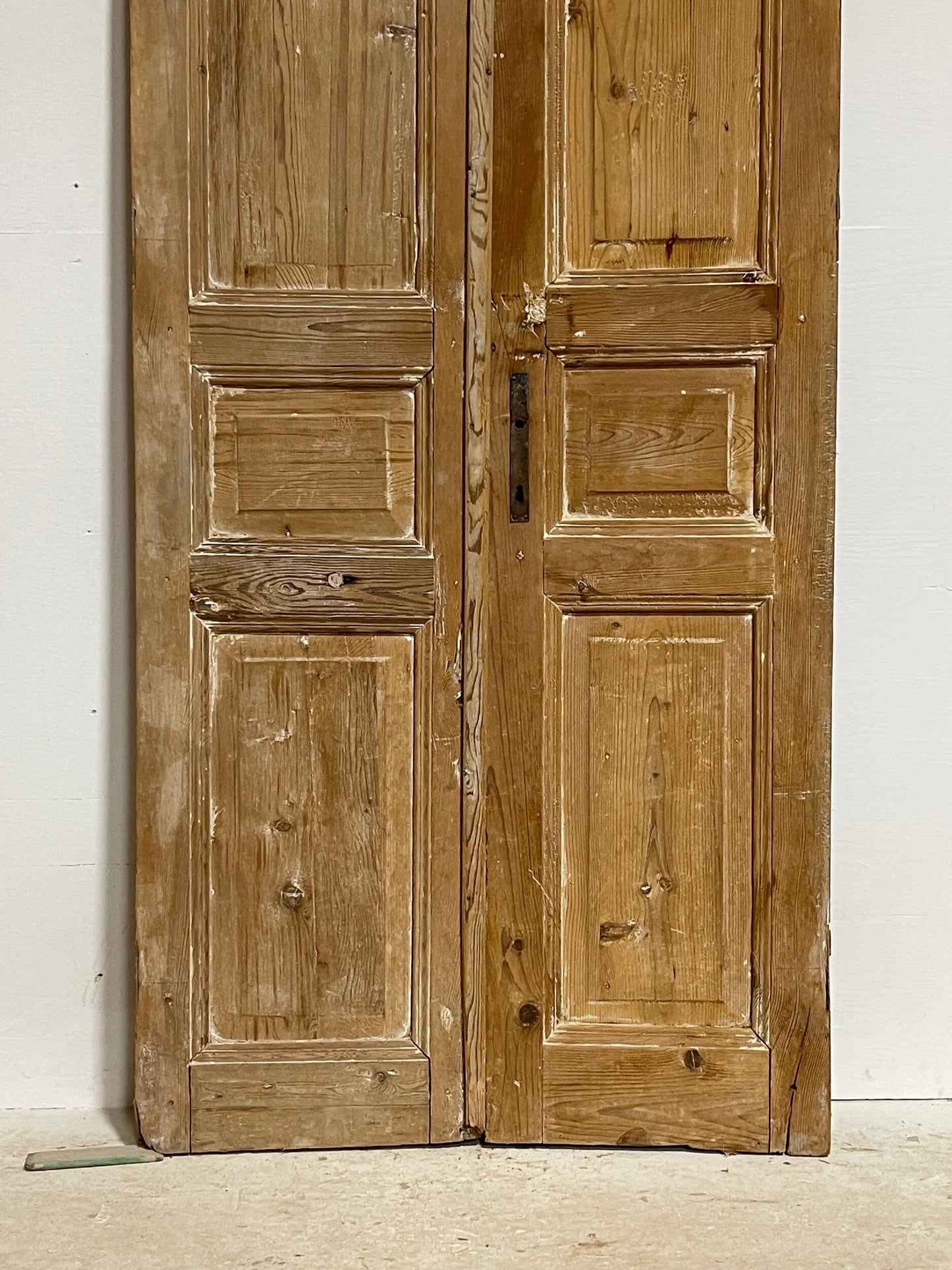 Antique French panel doors (91x35.5) H0064s
