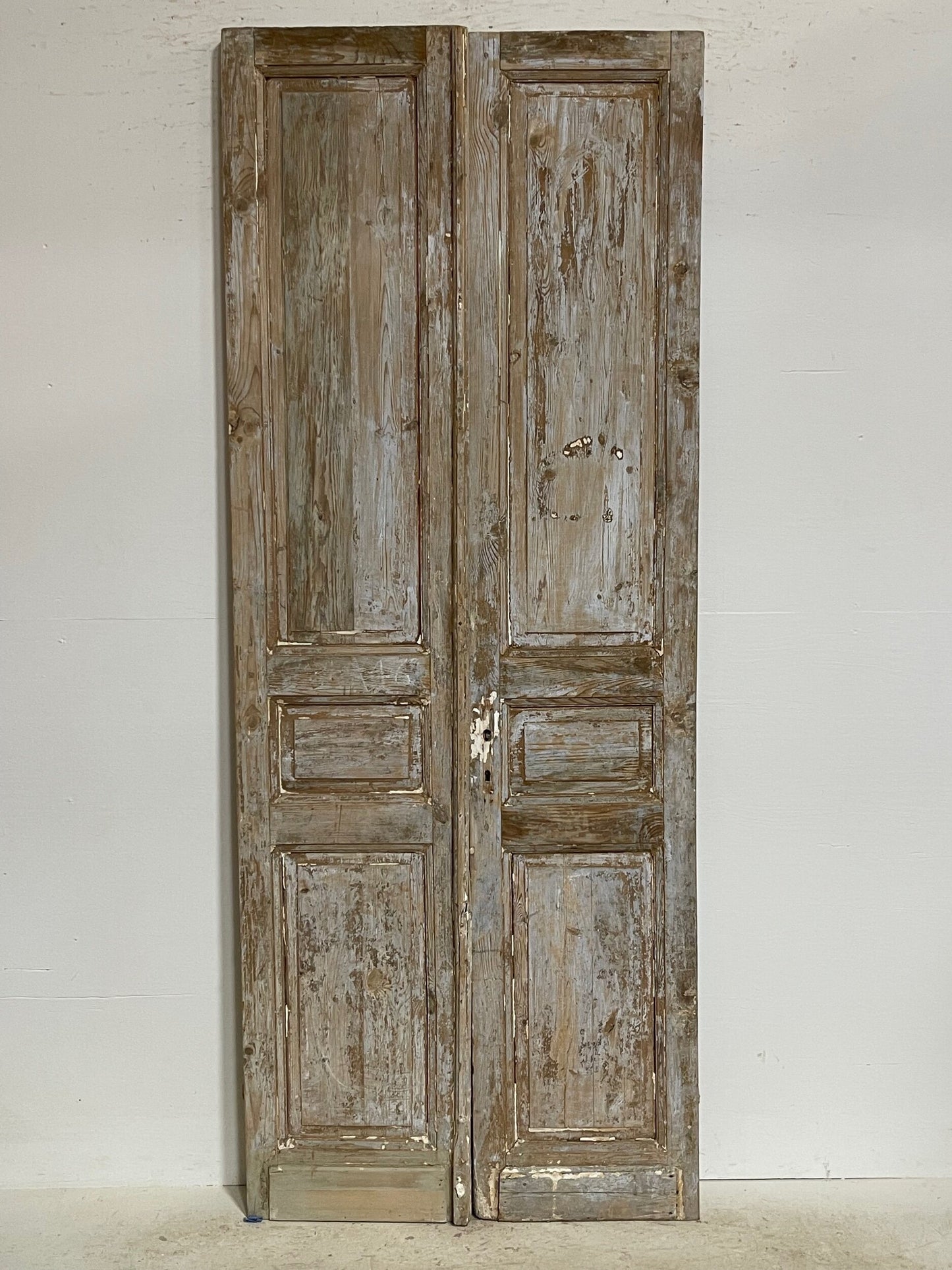Antique french panel door (92.5 x 36.5) G1092s