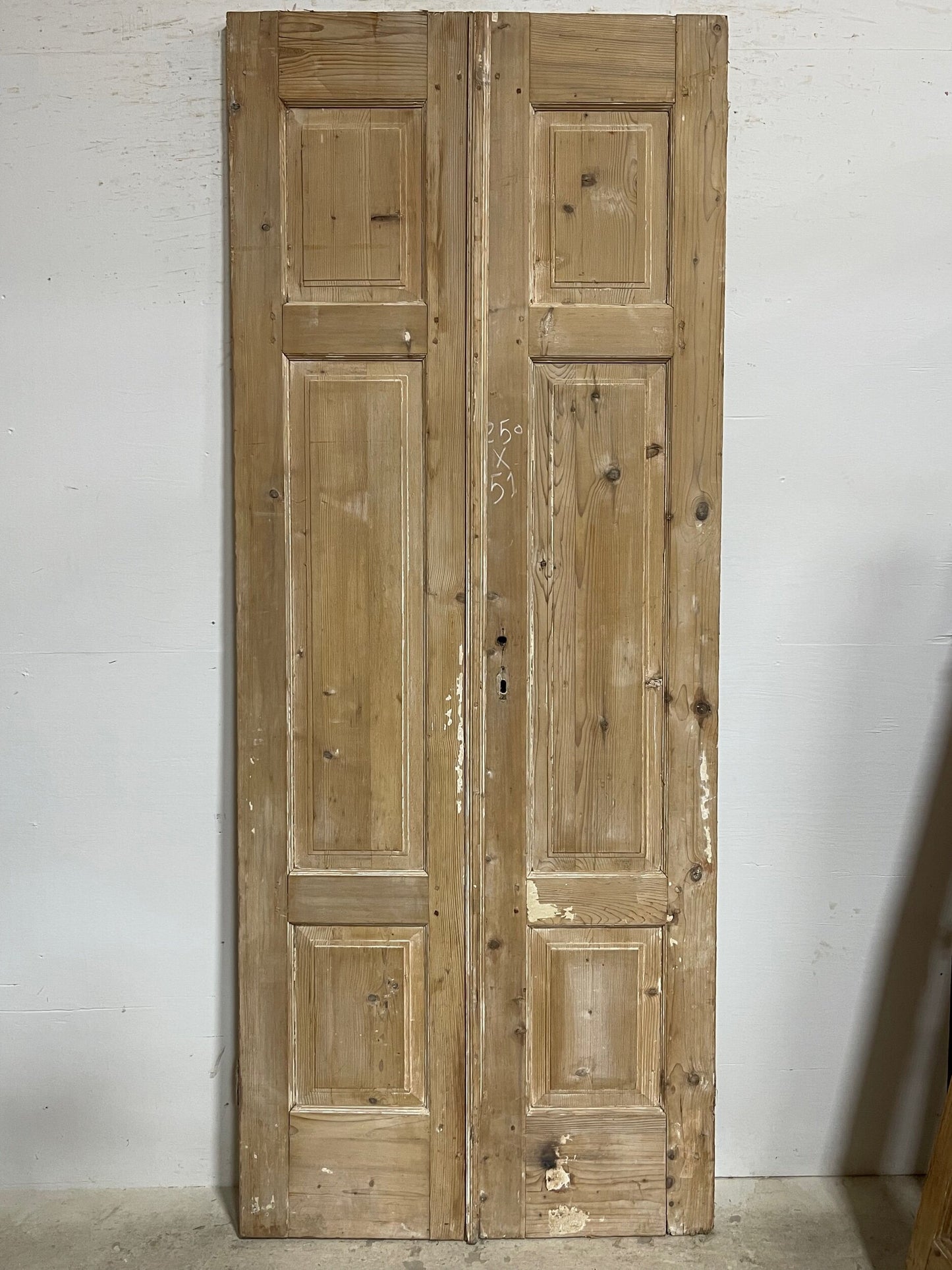 Antique French panel doors (98x39.25) I183