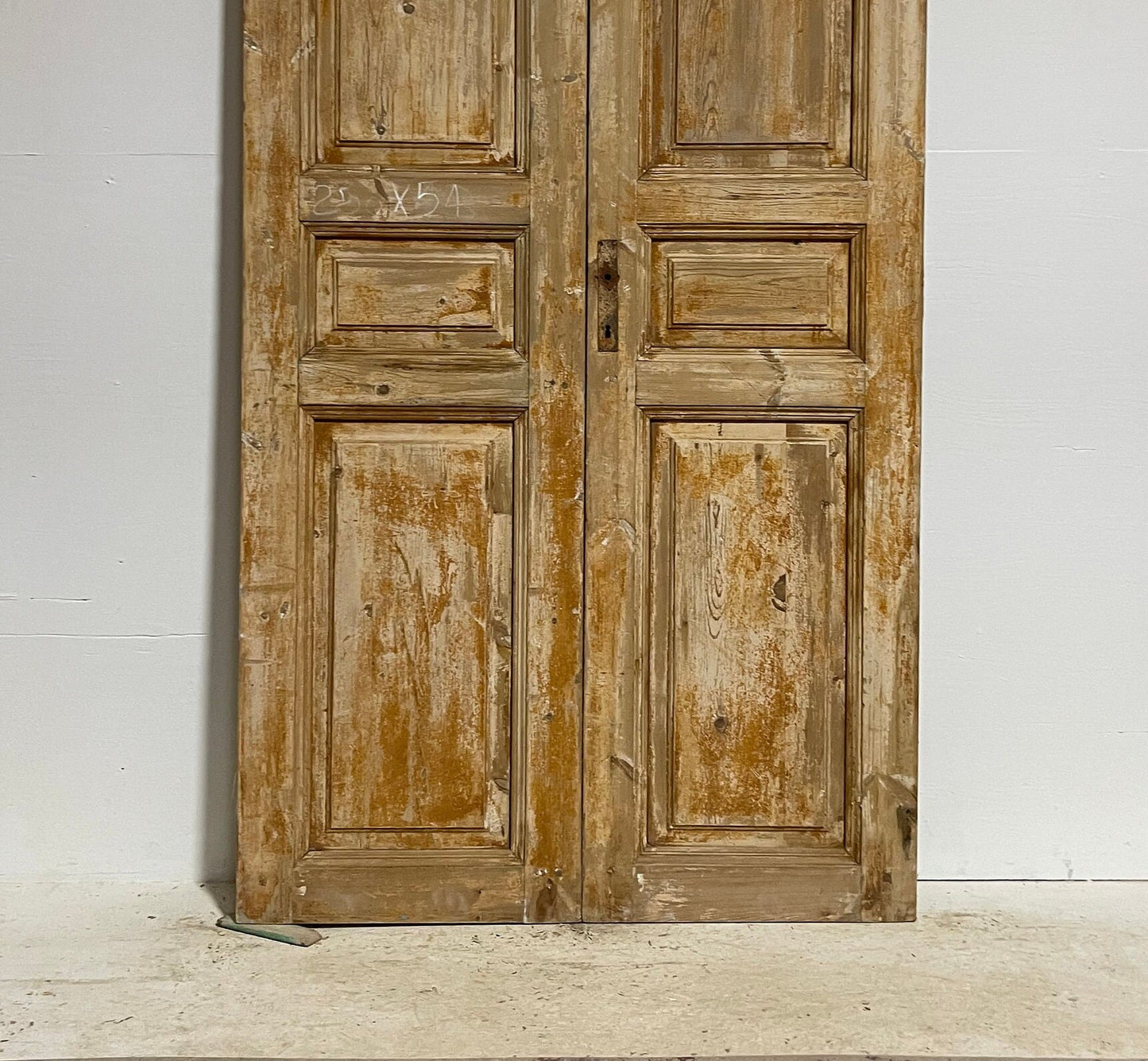 Antique French panel doors (98.5x42) G0058Bs