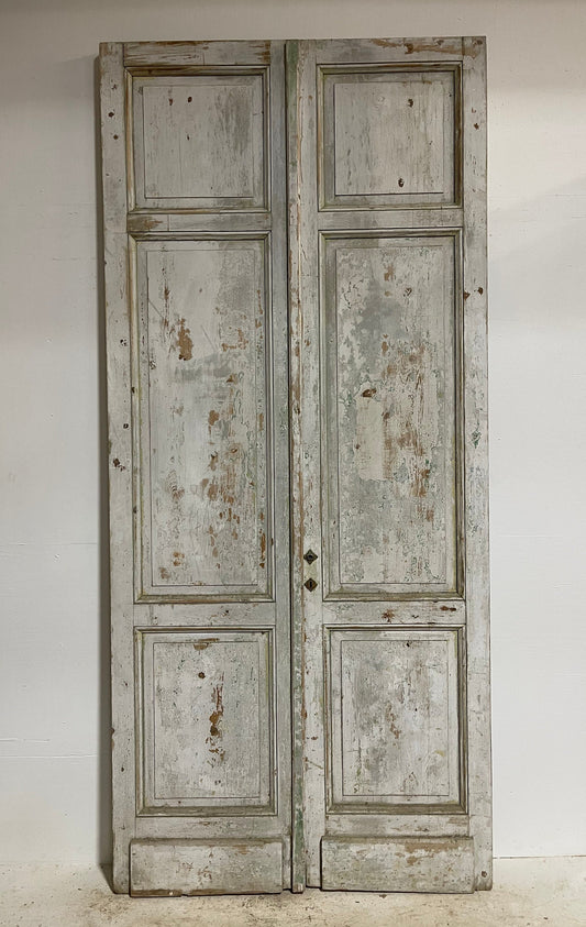 Antique French panel doors (116.25x52.25) G0061s