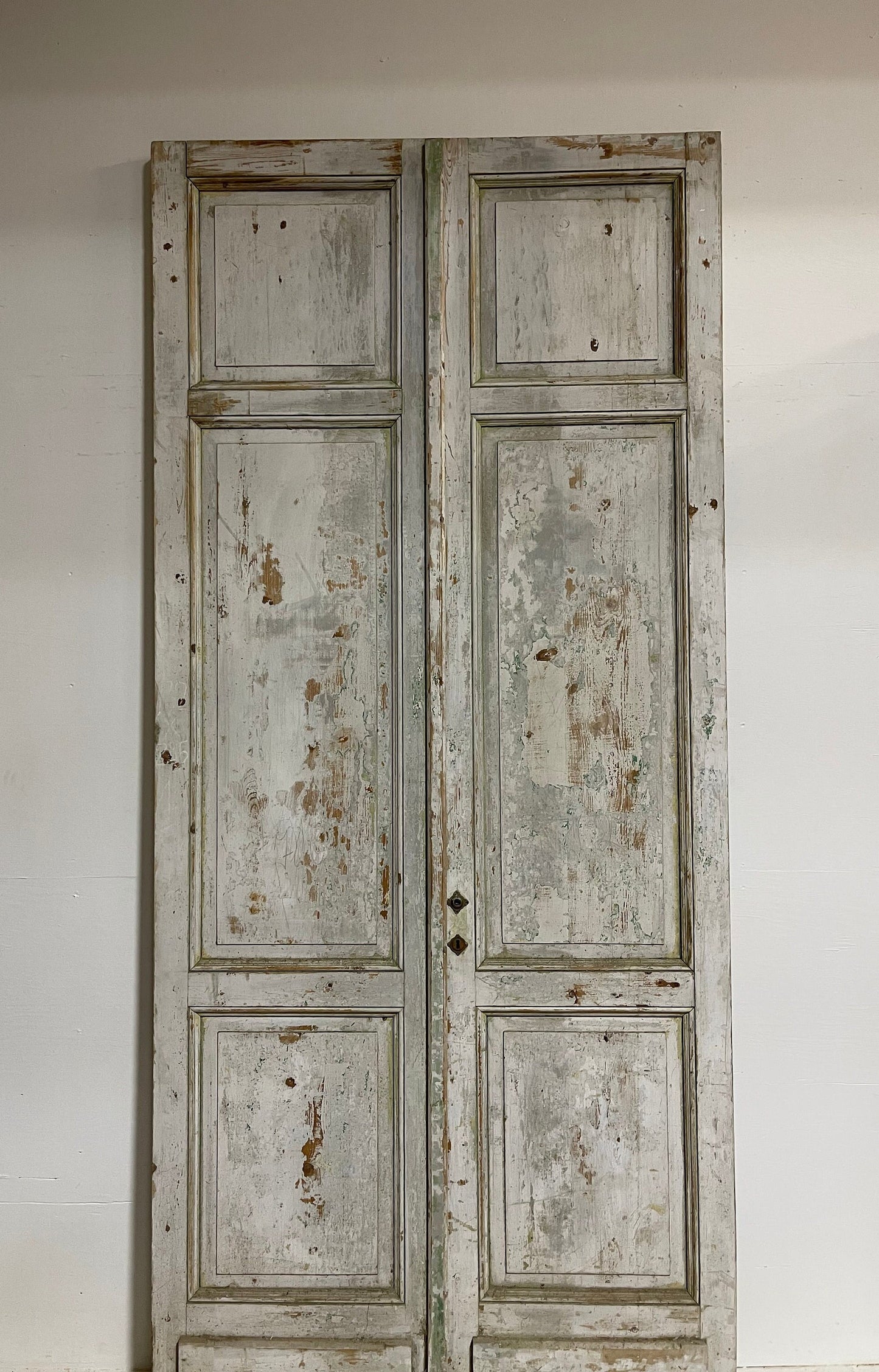 Antique French panel doors (116.25x52.25) G0061s