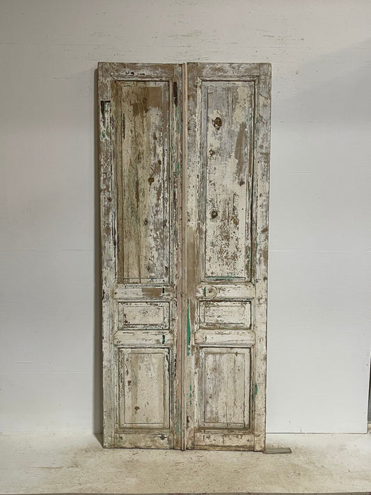 Antique French panel doors (91.5x39.75) G0067s