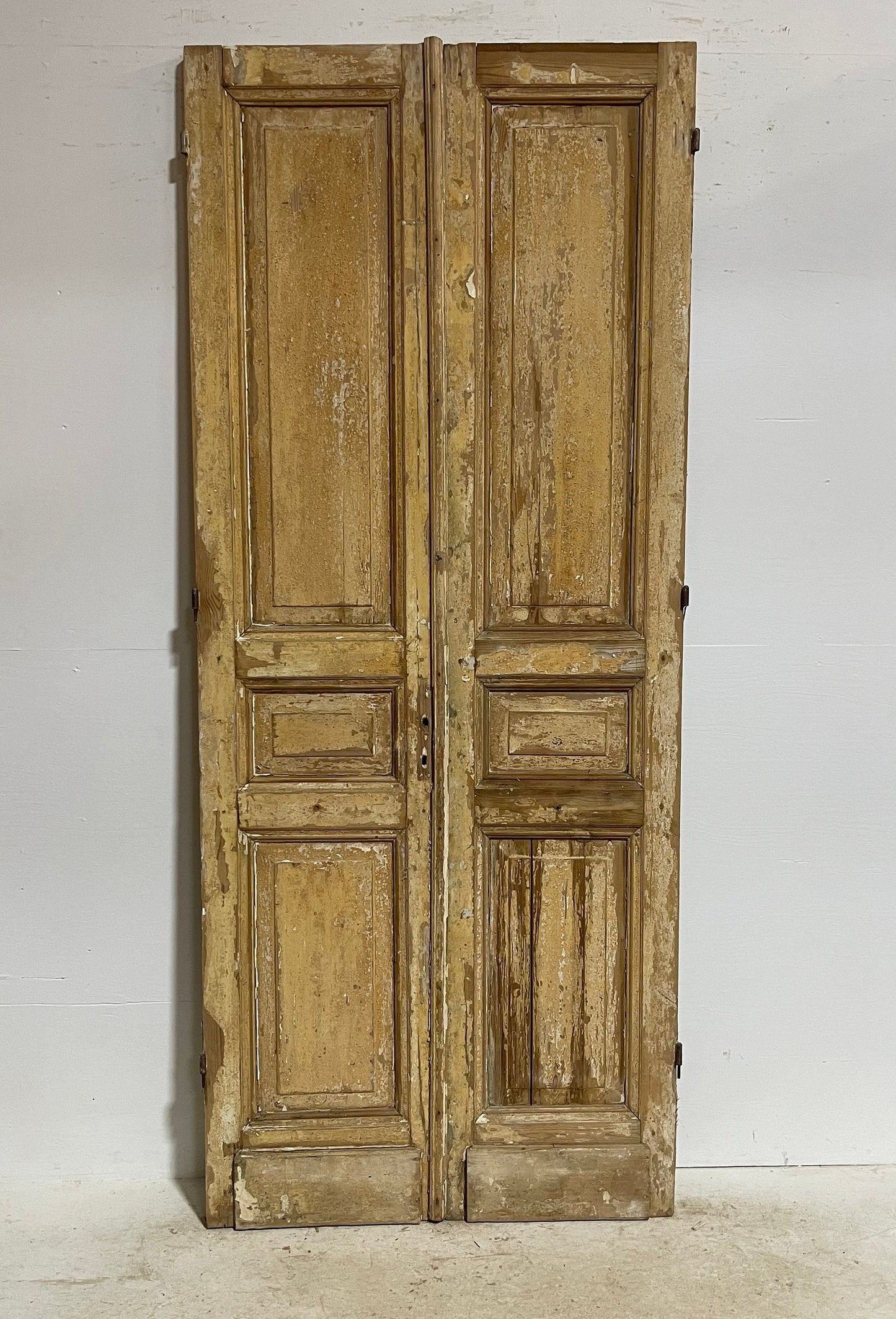 Antique French panel doors (95.5x40) G0069s