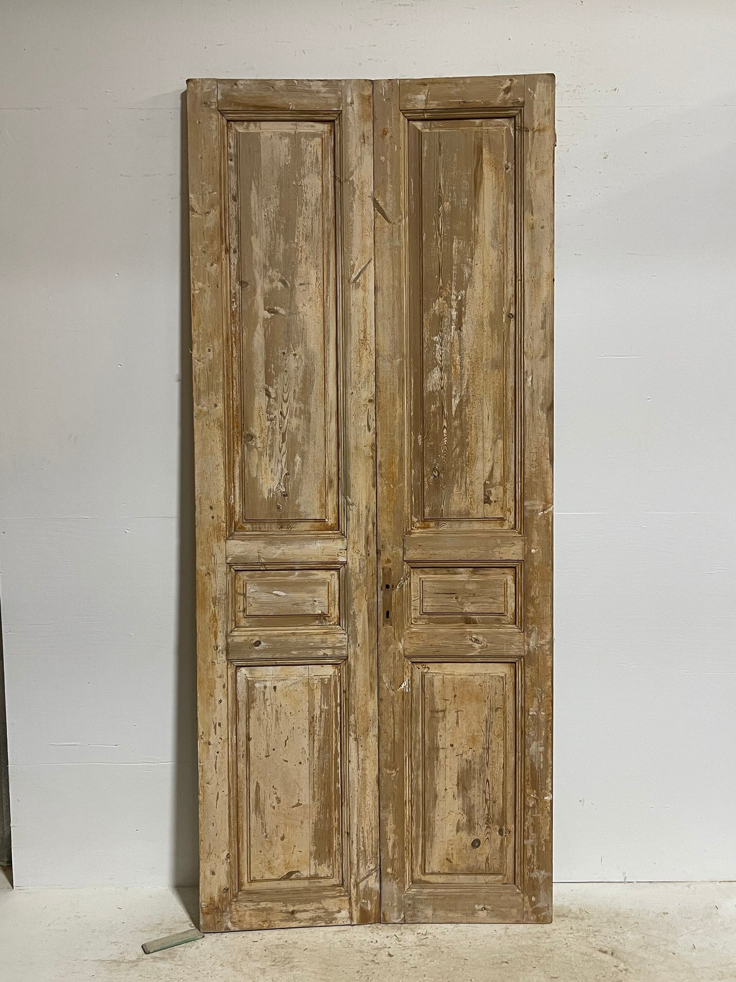 Antique French panel doors (98.5x42) G0074s