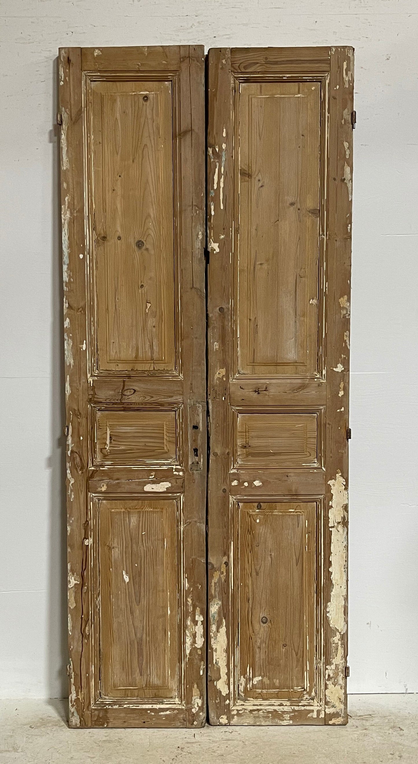 Antique French panel doors (91.25x38.5) G0087s