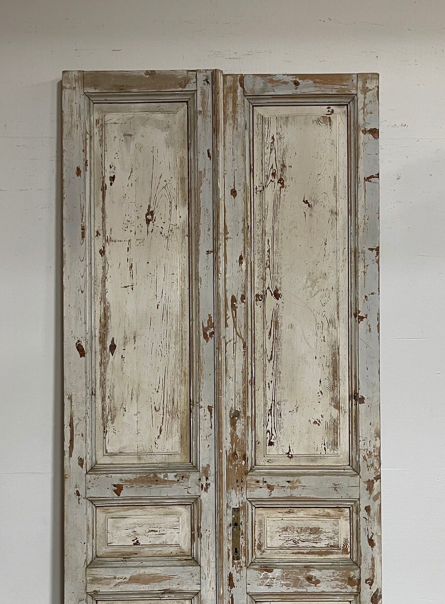 Antique French panel doors (104x44) G0084s