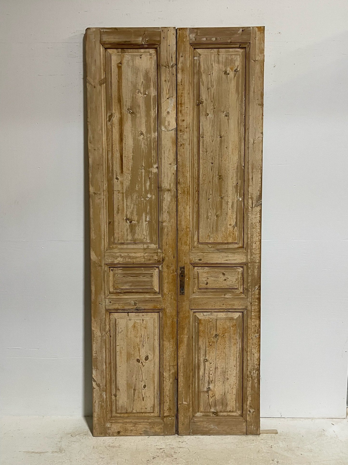 Antique French doors (98.5X41.75) G0077