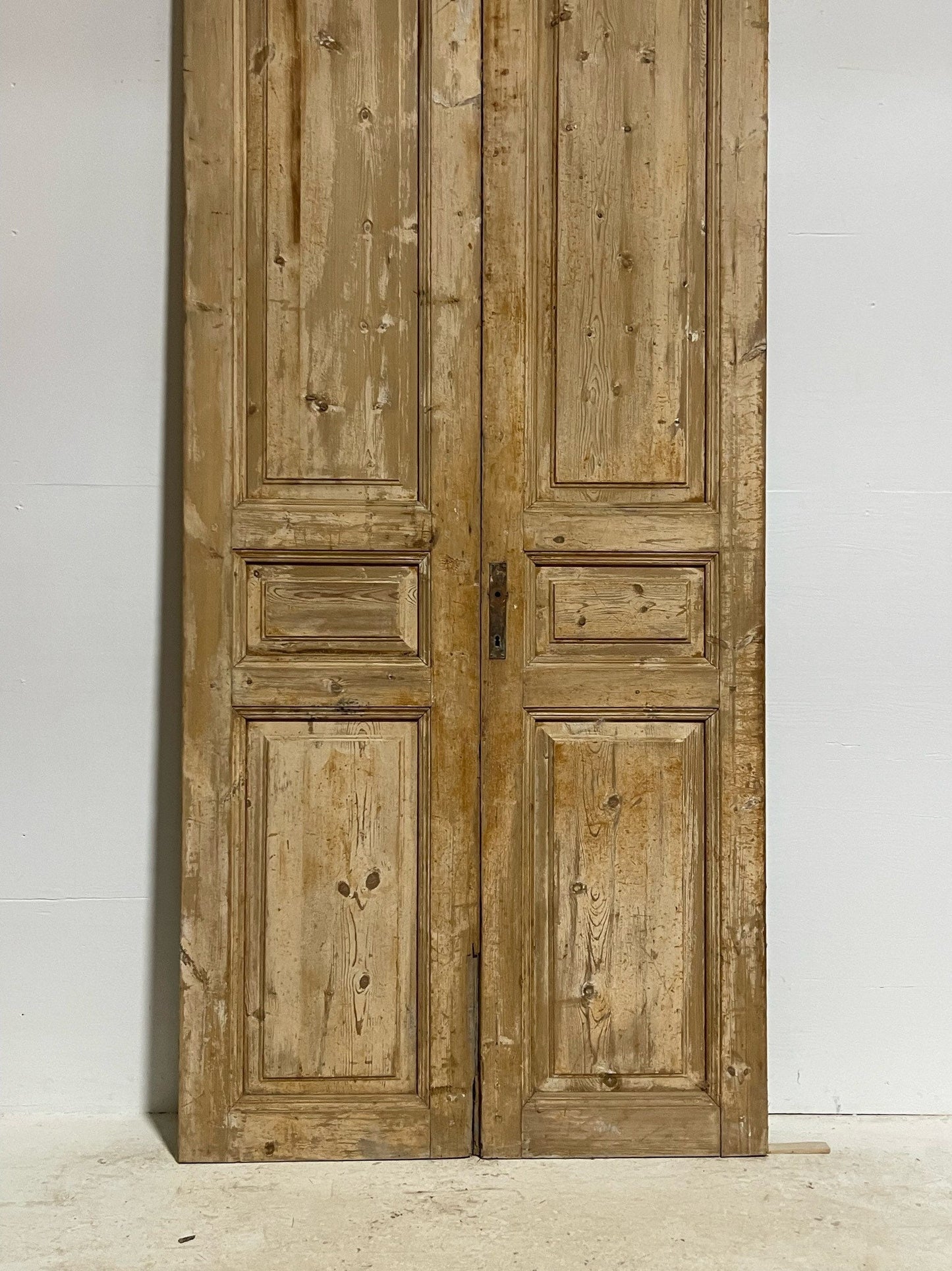 Antique French doors (98.5X41.75) G0077