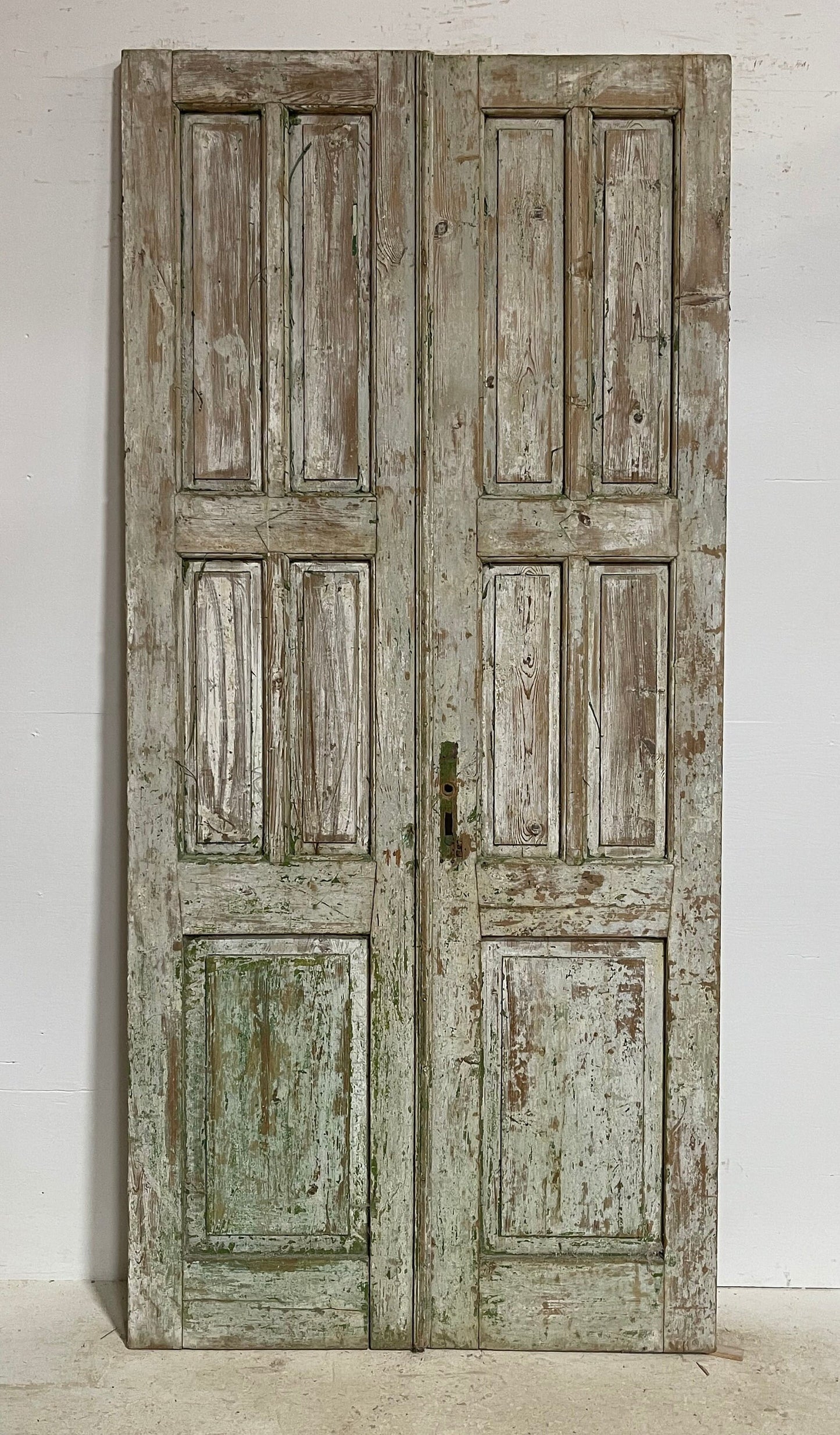 Antique French panel doors (97.5x45.25) G0123s