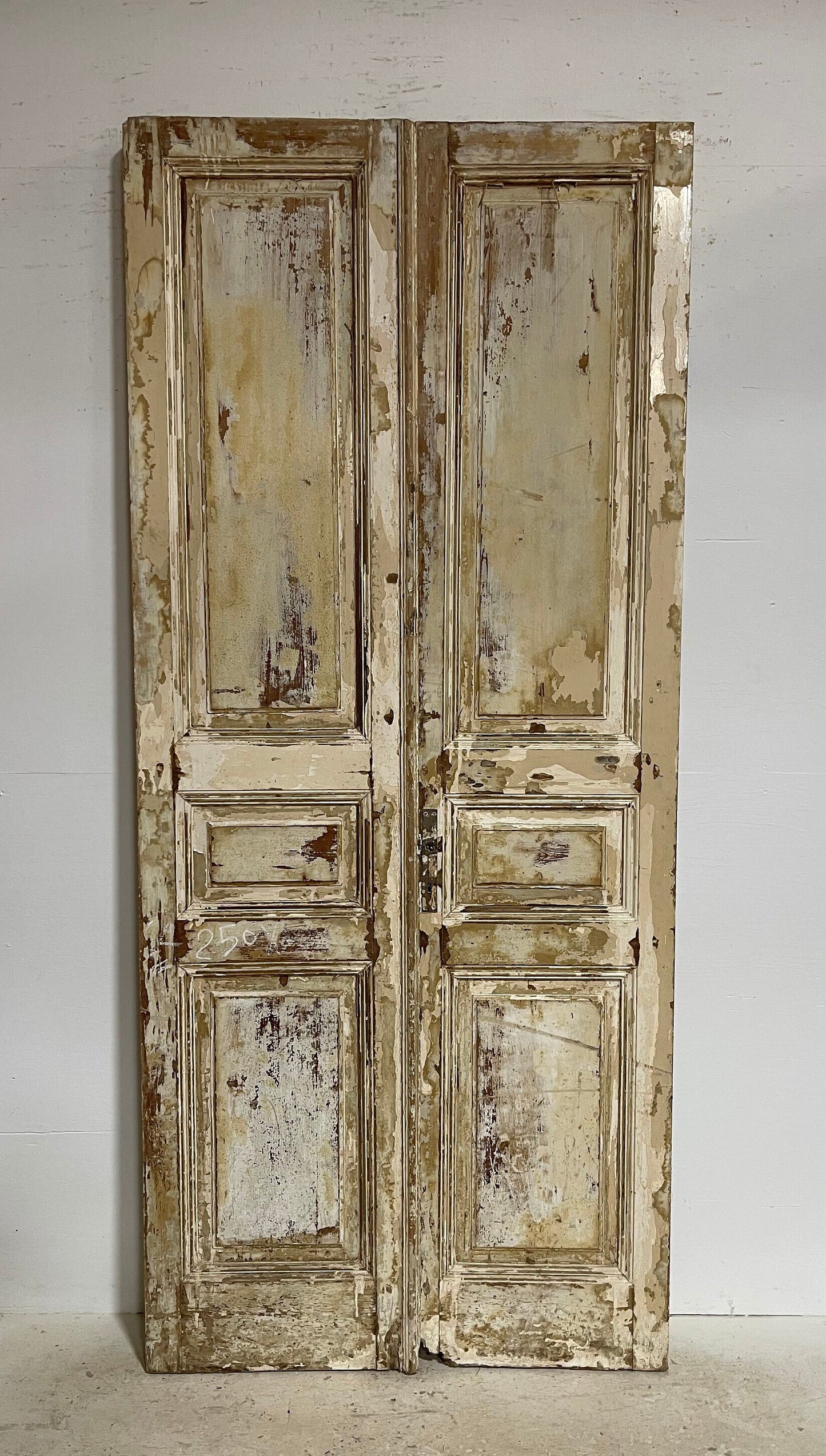 Antique French panel doors (98.5x43) G124s