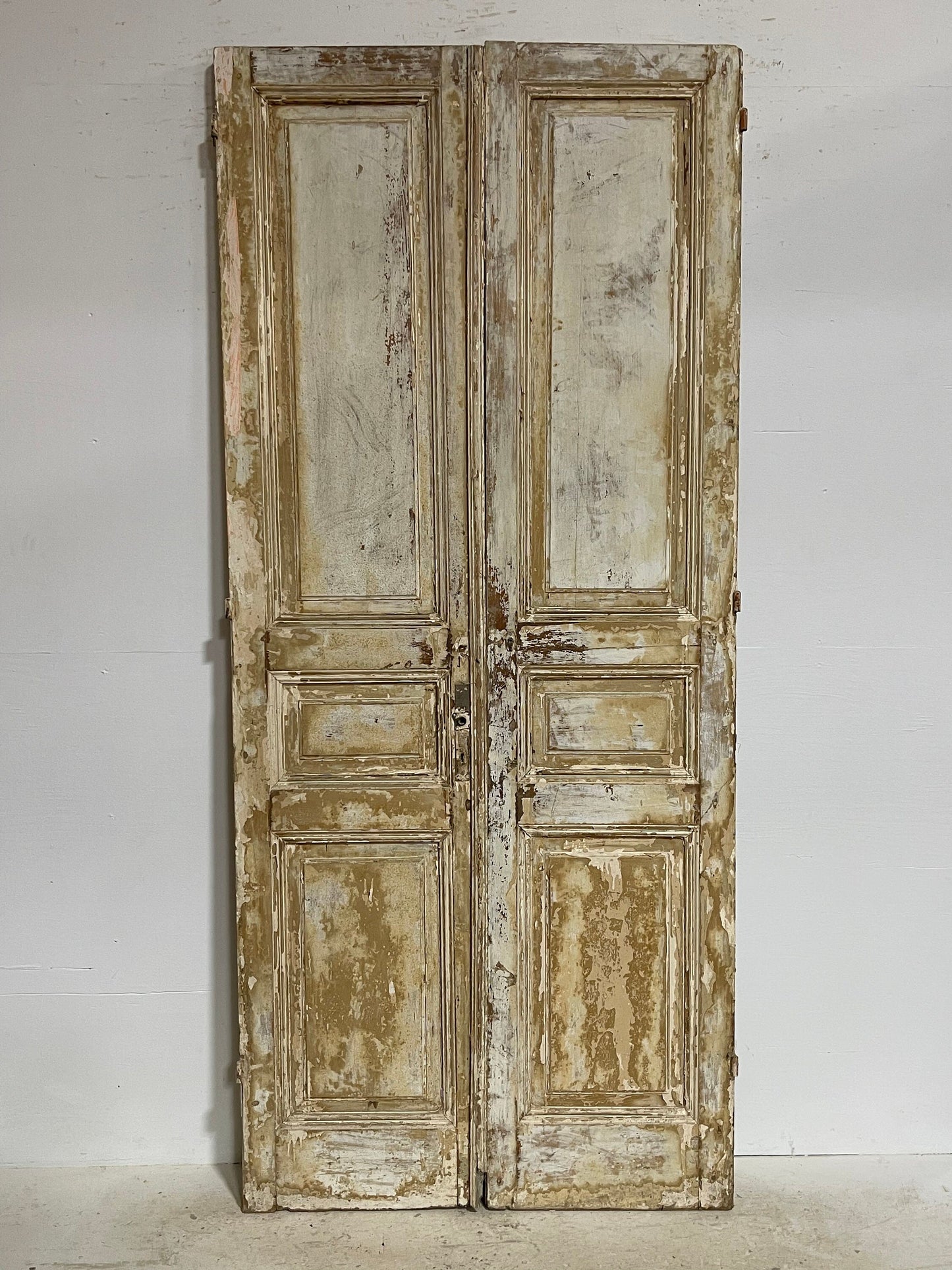 Antique French panel doors (98.5x43) G124s