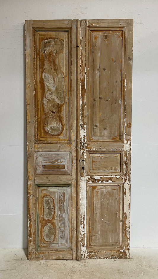 Antique French panel doors (98.5x43) G0128s