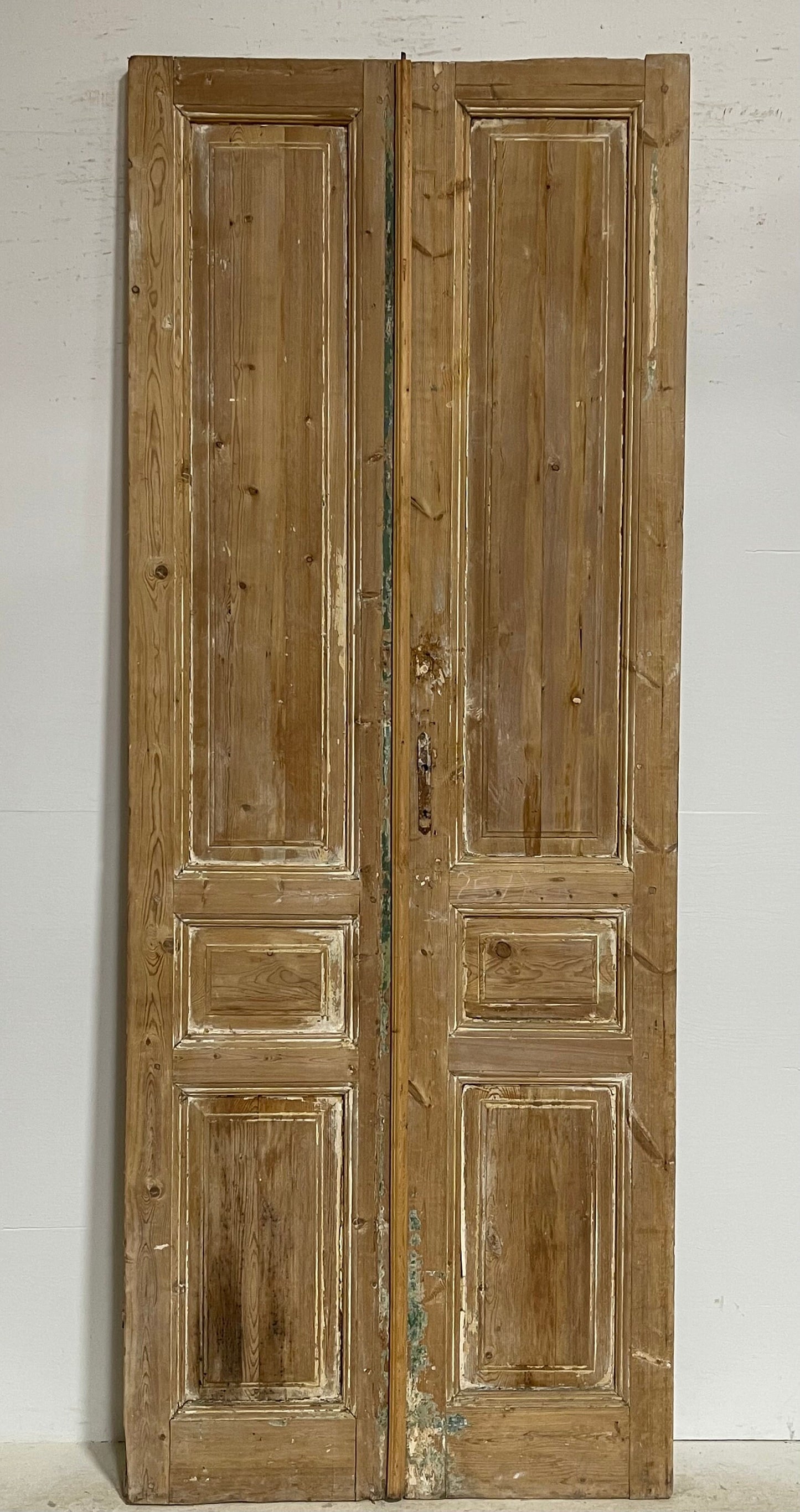 Antique French panel doors (100.5x38.75) G0139s