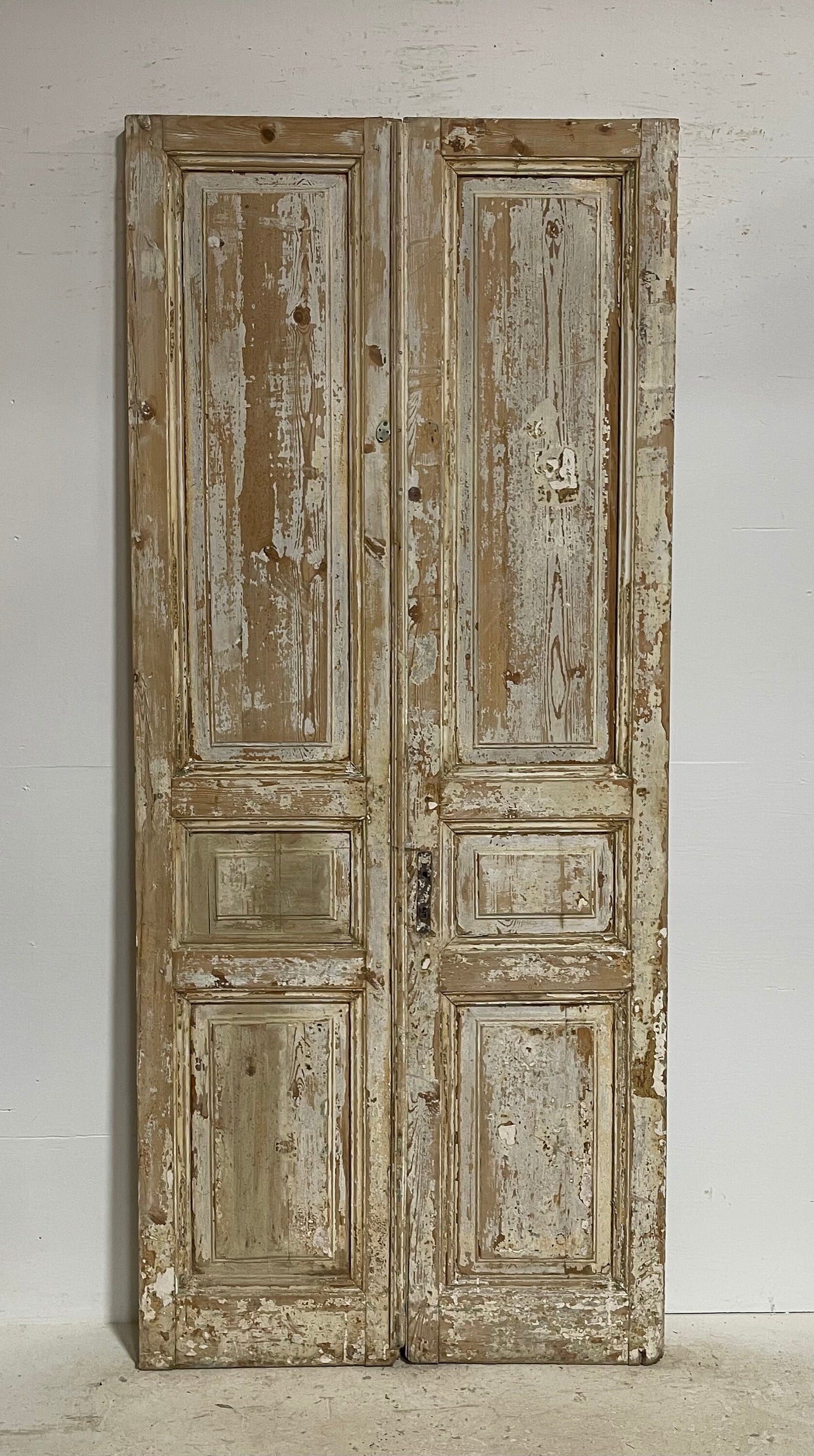 Antique French panel doors (98x42.25) G0145s